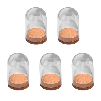 

5Pcs Dome Clear Glas Wooden Cork Base Shade Cover Shield Shelf Display Home Decorations