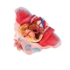 1: 1 Female Pelvis Anatomical Model W / Vessels Muscles Nerves Organ 5