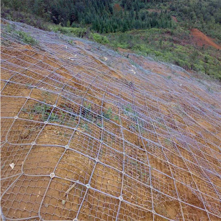 

Manufacturers Direct Selling Flexible Protective Mesh Active SNS-Shaped Slope Protect Subgrade Safe Slope Protection Net Wire Ro