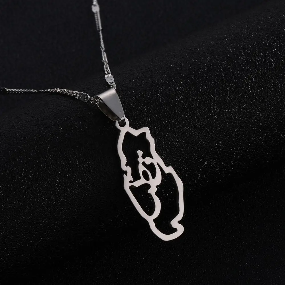Серебряное ожерелье с кулоном из нержавеющей стали картой страны Катара карта