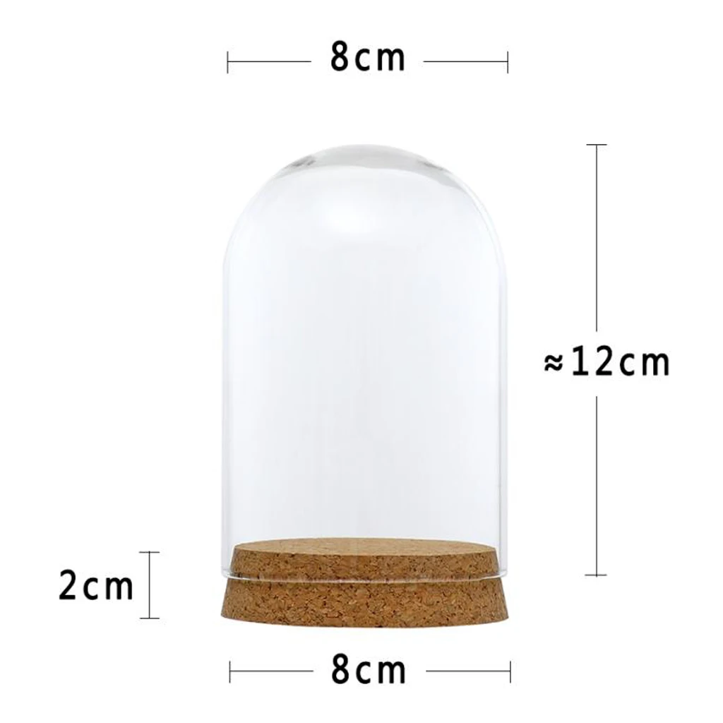 Clear Glass Display Dome Cover Cloche Bell Jar Succulent Terrariums with Wood Cork for Home Office Table Decor DIY