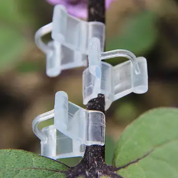 

10Pcs/Lot Plastic Grafting Clips Vegetable Garden Flower Plant Vine Seedlings Grafted Branches Clip Connector Migration Tool