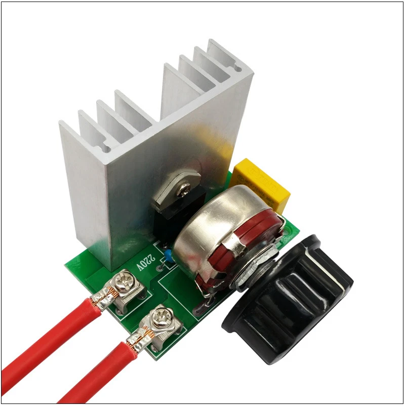 5274908557_1729478009