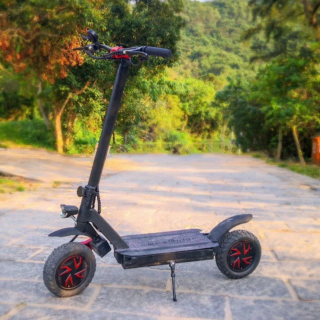 С 3600 Вт EcoRider E4-9 E4-9 сплав Электрический скутер 60 в сказочный светодиодный экран