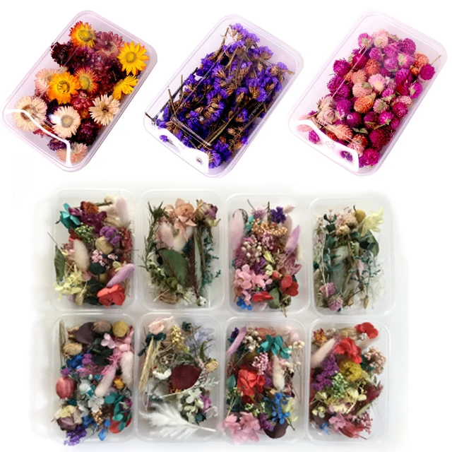 1pcs DIY Scented Candle Floating Flower Dried Flower Flower Material Fragmentary Flower Material DIY Handicraft 2