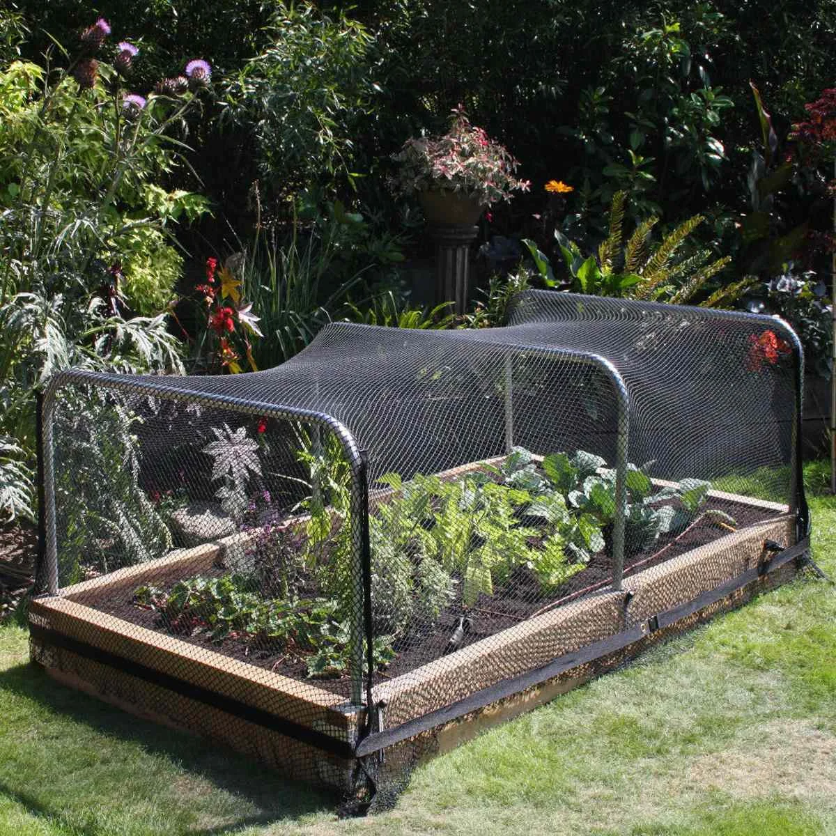 5//15M Garden Protect Netting Vegetables Crops Plant Mesh Bird-Net-Insect-Animal
