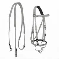 Horse Riding
