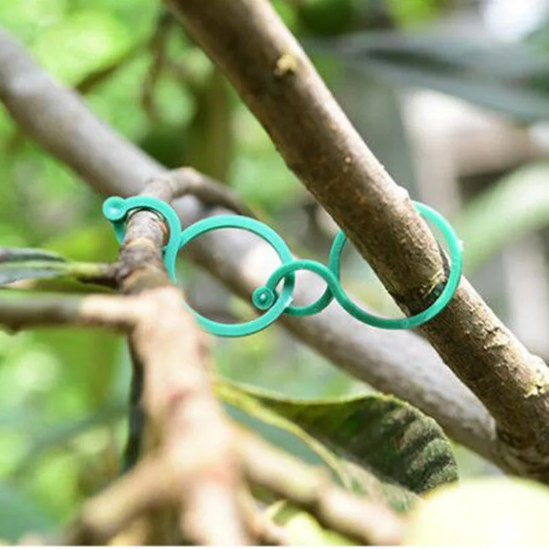 11353414297_1826022010