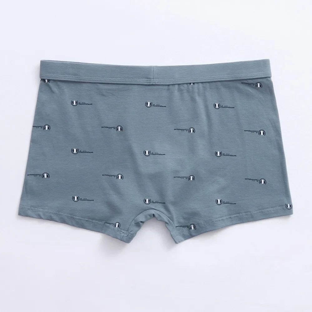 1PCS Cotton Briefs Men's Letter Printed Underwear Soft Breathable Knickers Short Sexy Briefs Trunks #3b21 (16)