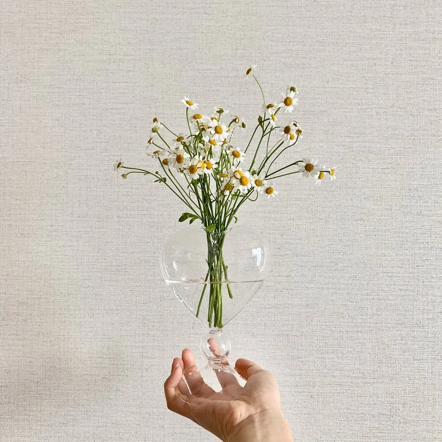 H4c4f22ab1ae64024bdca379c7f9ec2a1k.jpg?width=900&height=900&hash=1800