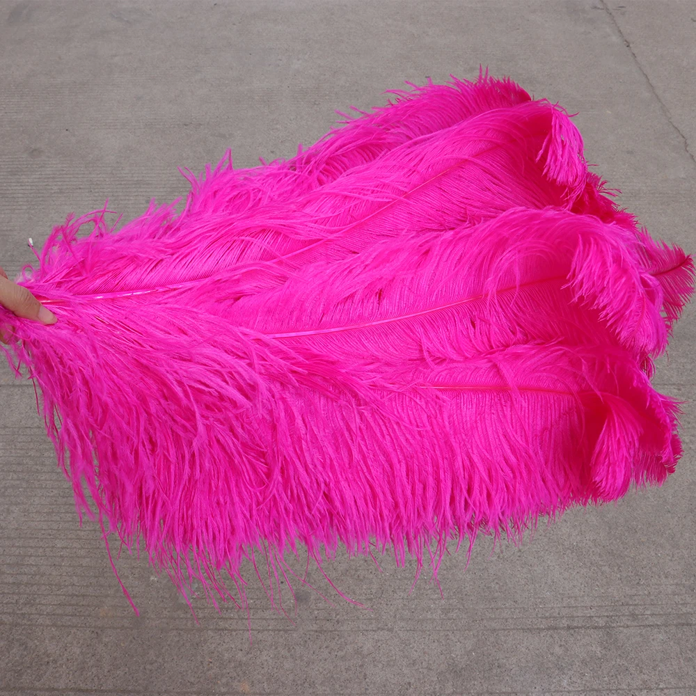 TS0165004 65-70cm ostrich feathers 2