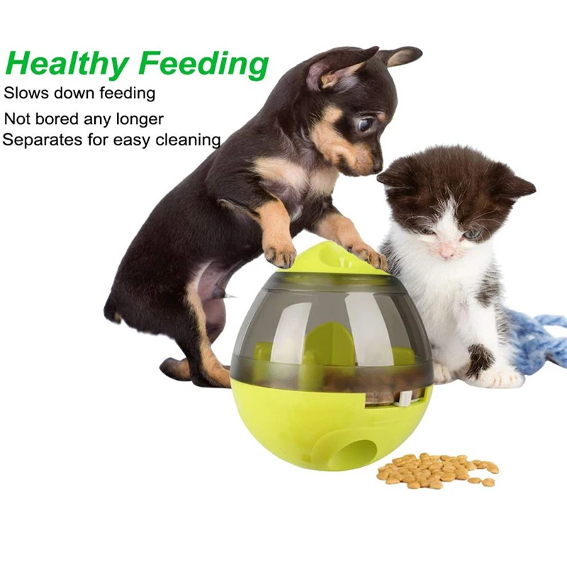Pet Food Dispenser Image