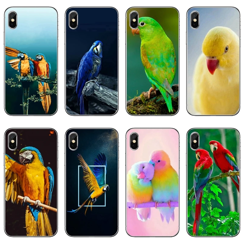 Чехол с радужным цветком птицей кольцом и попугаем для iPhone 11 Pro XS Max XR X 8 7 6 6S Plus 5 SE 4
