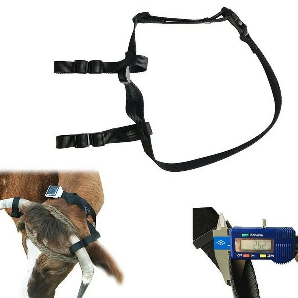 sheep collar M 3000mAh wifi устройство слежения на солнечных батареях для крупного рогатого скота, коровы, овцы, лошади, верблюда gps локатор RF-V26 плюс RF-V26+ Водонепроницаемый Бесплатный сервер и приложение - Цвет: sheep collar M