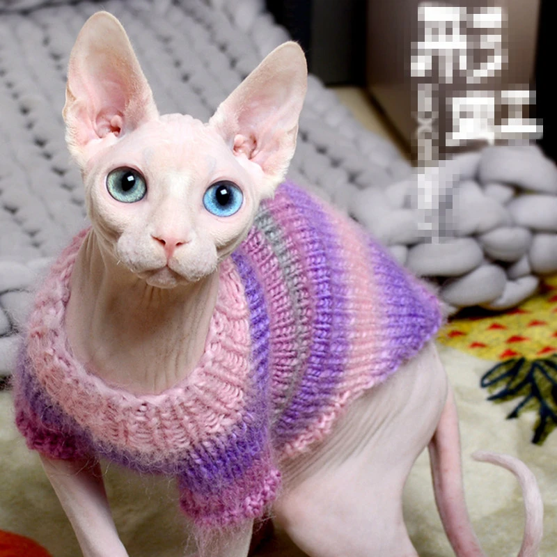 rainbow cat sweater