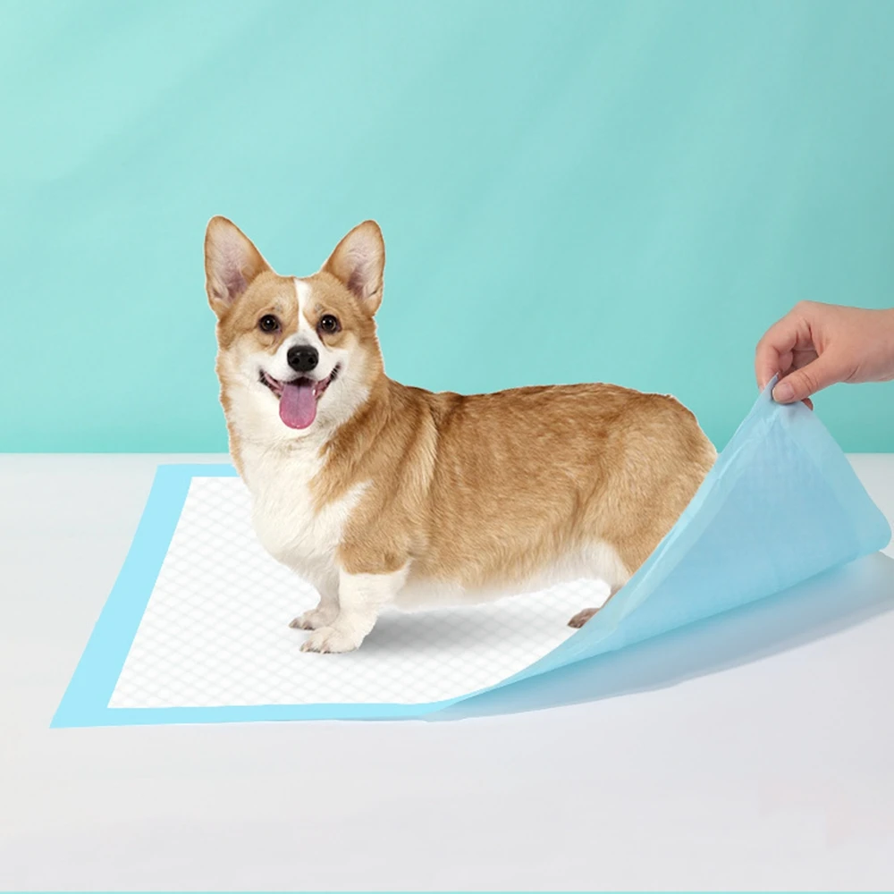 

100pcs Super Absorbent Pet Diaper Dog Training Pee Pads Disposable Healthy Nappy Mat Pet Dog Diapers High Quality Dog Supplies
