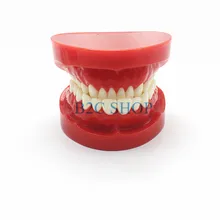 Зубной Протез зубов Модель челюсти Стандартный Typodont демонстрации протез Учебная модель стоматологического симулятор техник инструменты