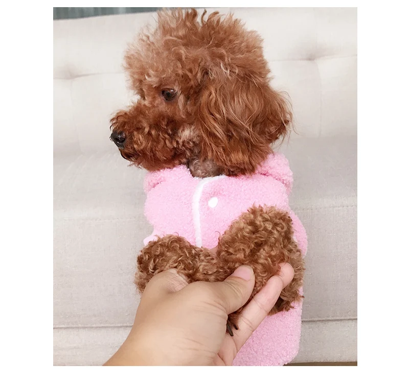 Милая мультяшная Одежда для собак ropa perro Pomeranian podle Bichon Schnauzer Welsh Corgi, одежда для собак, одежда для домашних животных, милый жилет для собак