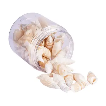 

30-45Pcs Turritella Screw Shells Dyed Beads with Holes for Home Deco 42-50mm