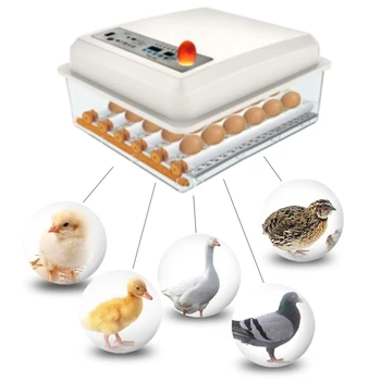 

Professional 30 Eggs Incubator Automatic Hatchery Machine Digital Display Humidity Control Birds Brooder Thermostat Breeding Hat