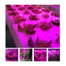 1000 Вт 1200 Вт Cob светодиодный светильник для выращивания Панель Светодиодный светильник для выращивания панели для всех комнатных растения парниковые цветения овощей