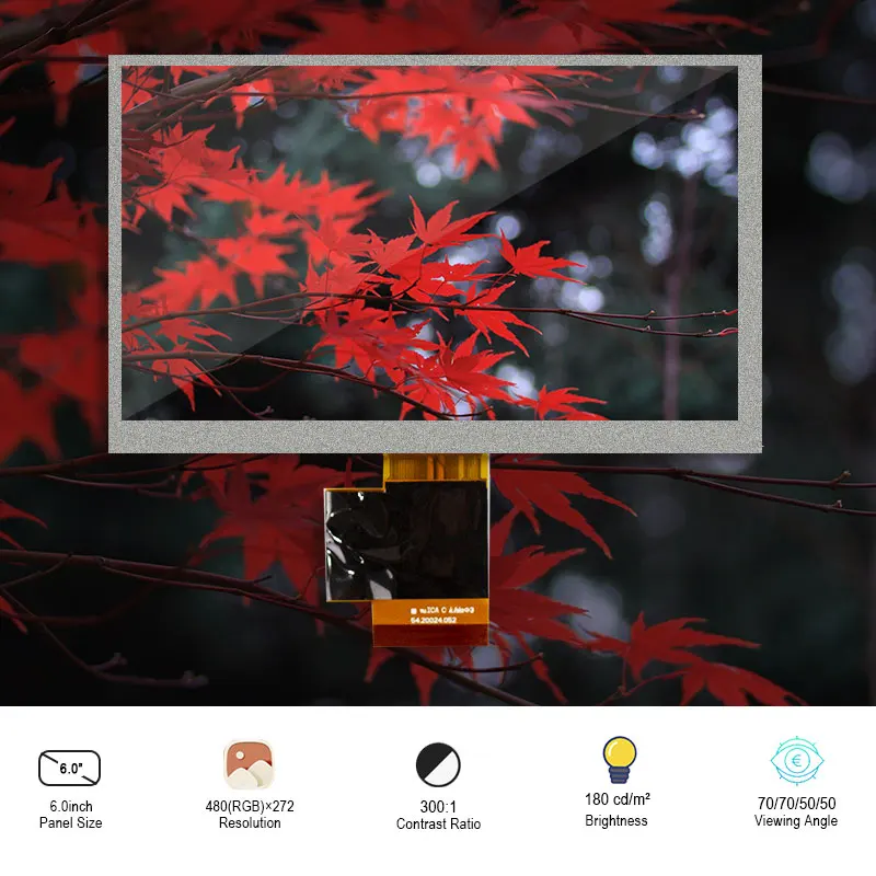 

6 Inch Original AUO A060FW03 V.0 Lcd Screen Display Resolution 480×272 SRGB 180 Nits Parallel RGB 50 Pins FPC Module