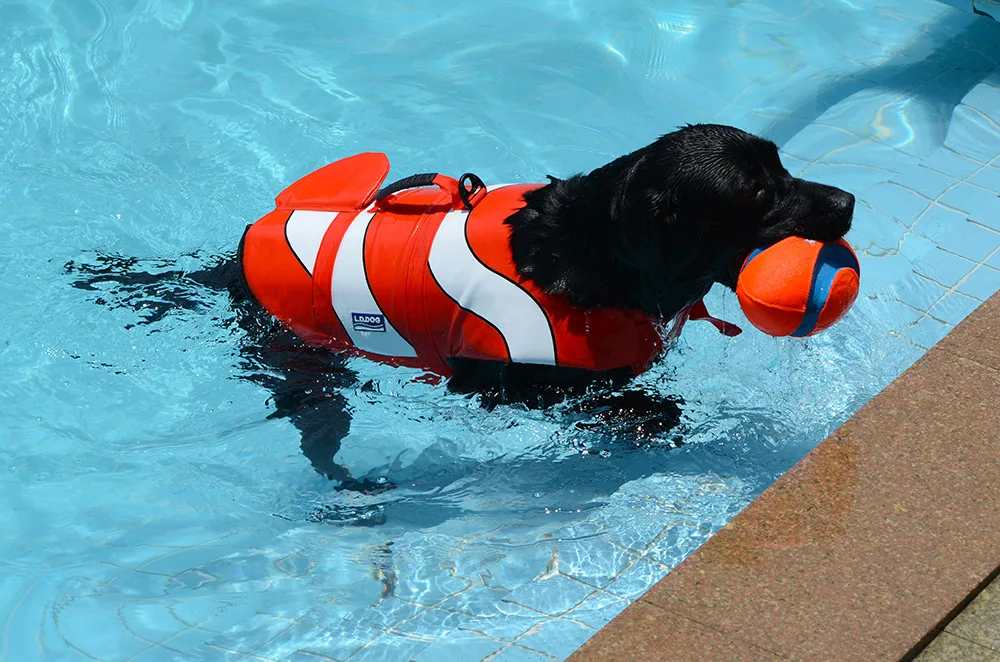 9030940222_1397814943