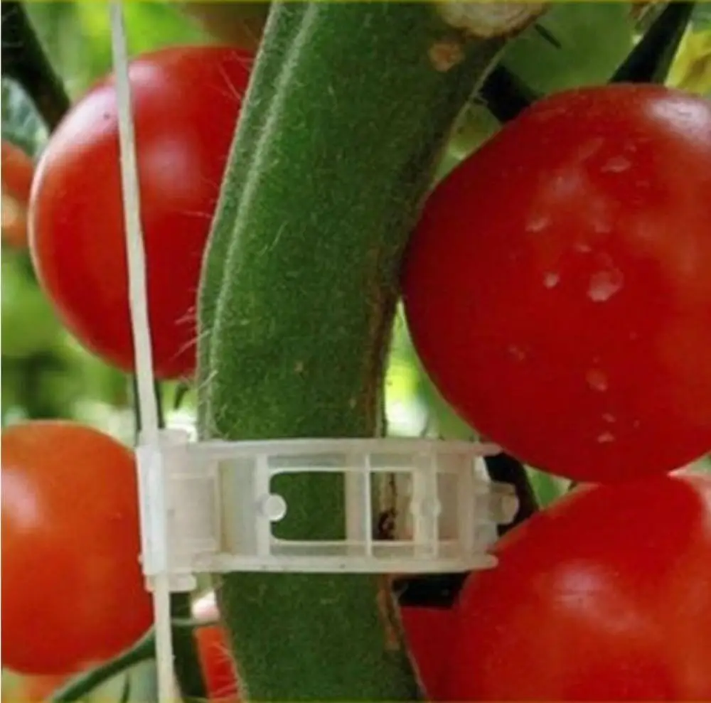 50/100/200pcs 23mm Plastic Plant Support Clips clamps For Plants Hanging Vine Garden Greenhouse Vegetables Tomatoes Clips