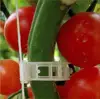 Garden Supplies