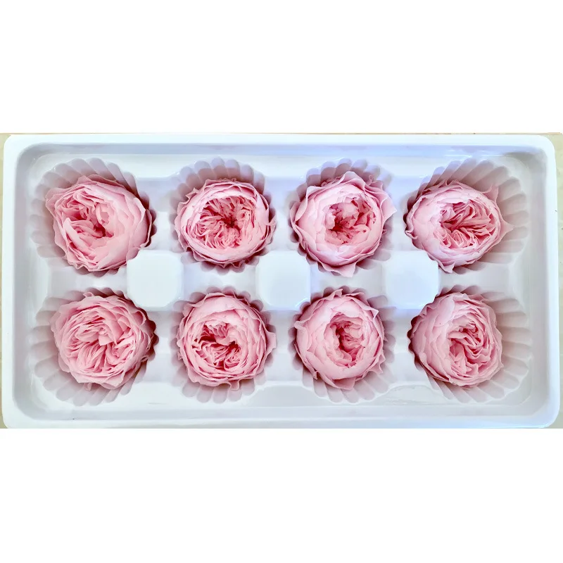 1 коробка высокого качества вечный цветок Роза Остина диаметр цветка 4-5 см класса А с лакированным вечные цветы материал для изготовления подарочной коробки - Цвет: sakura pink