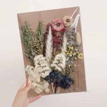 

Natural Dried Flowers Leaf Embossed Materials Pack DIY Flower Photo Frame Painting Decoration