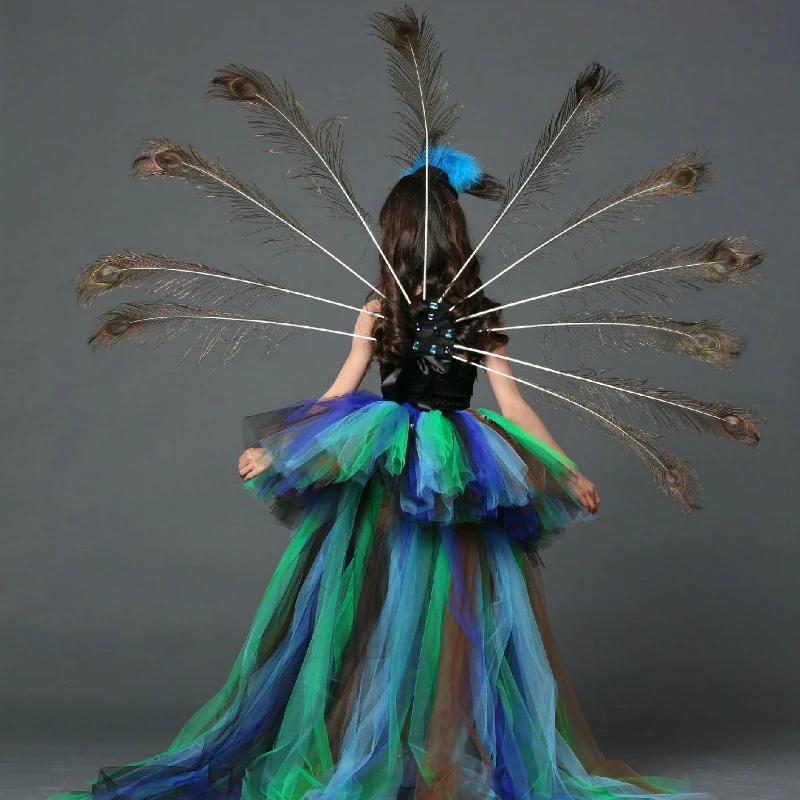 Peacock Feather Dress for Girls ...