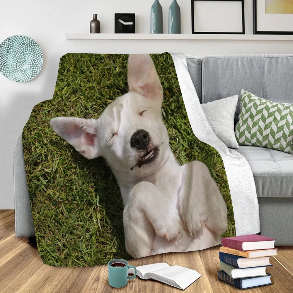 

Funny Dog 3D Printed Plush Fleece Blanket Adult Home Office Washable Casual Kids Sherpa Blanket Drop Shipping 05