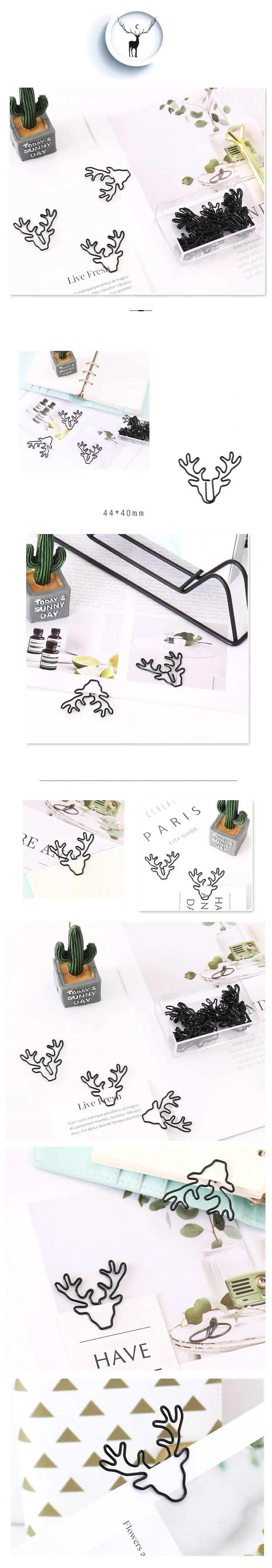 11131041754_925655089