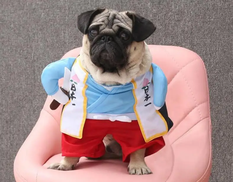 H4c7dbd5027d14d0d8ab410a2d314aeffE