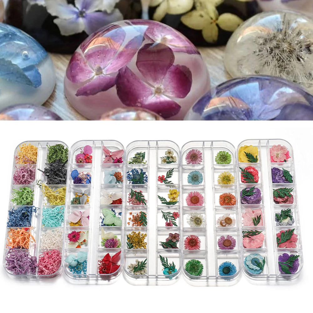 1Box Real Dried Flower For DIY Art Craft Epoxy Resin Pendant Jewellery