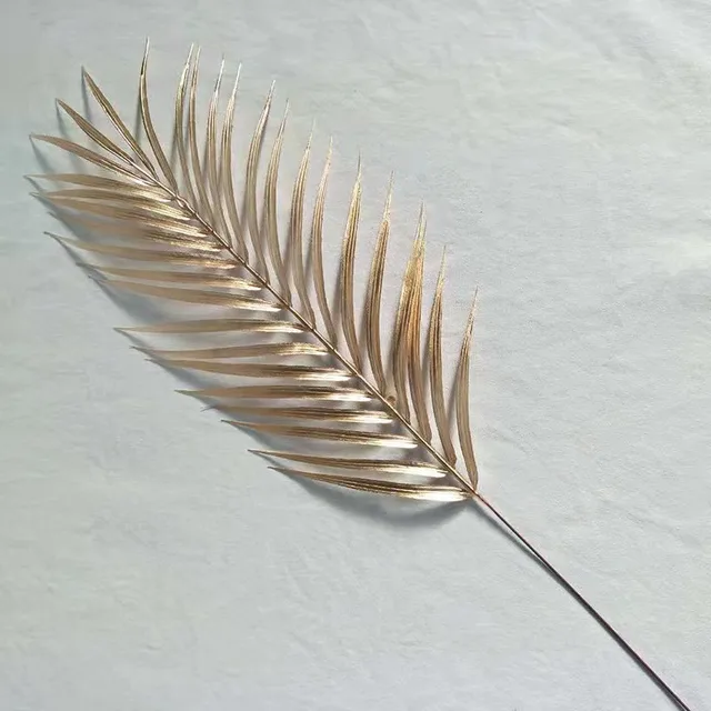 Image 20