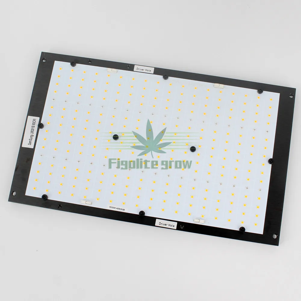 Hydroponic 80*80*160cm quantum board LED Grow light Kit System