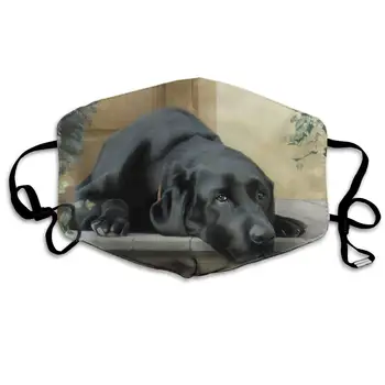 

Face Masks Anti-Dust Mouth Cover Special Black Lab Washable And Reusable Mask Warm Windproof For Women Men Boys Girls Kids