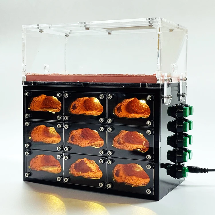 

Экологичная муравьиная ферма, разделяемое Муравьиное гнездо с usb-светильник кой, контроль температуры, бетонный муравьиный дом, муравьиный домик, муравьиная мастерская для домашних животных