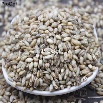 

Ngryise 8000Pcs A Set Highland barley kernel