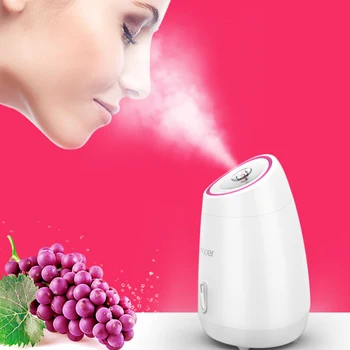 

Beauty Instrument Multi Function Fruit Vegetable Beauty Facial Mask Maker Home Nano-spray Steaming Face Rehydration Meter White