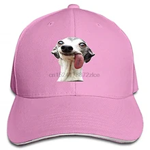 Crazy Dog мужская Кепка из саржи Регулируемая остроконечная шляпа-сэндвич