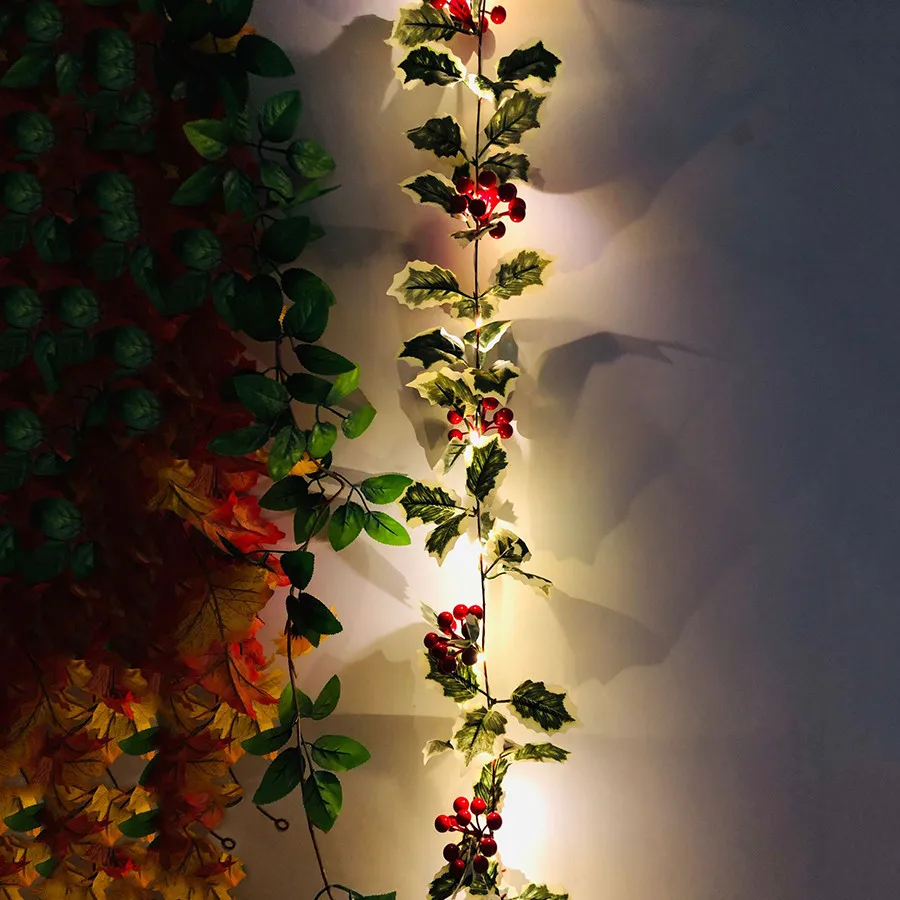 11087284293_171548661