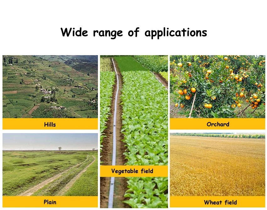 O1CN012Bs2ebXk48kFPBf_!!2448068393