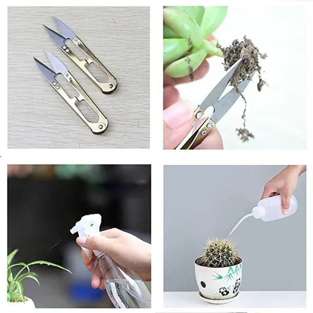 14Db Kertészeti Szerszámok Miniatűr Kert Bonsai Zamatos Átültetés Kézi Tartozék - Image 2