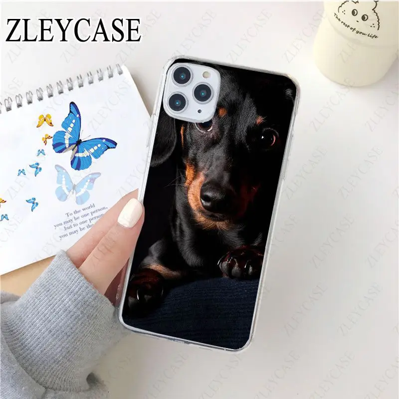 black Dachshund Doberman Dog face