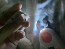 Scissors Nail-Cutter Professional Claw-Toe LED Pet-Dog-Cat Clea Stainless-Steel Safety