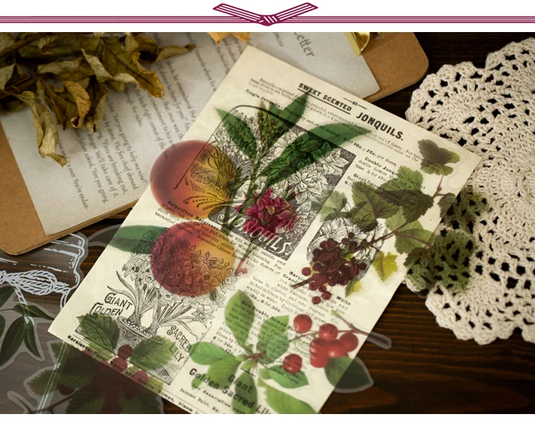 植物研究所贴纸包_13