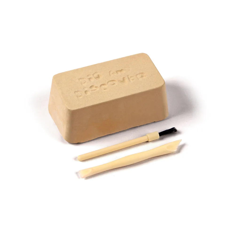 공룡 발 화석 발굴 키트, 공예품 장난감, DIY 조립 모델, 어린이용 고고학 발굴 교육 장난감, 무작위 1 개